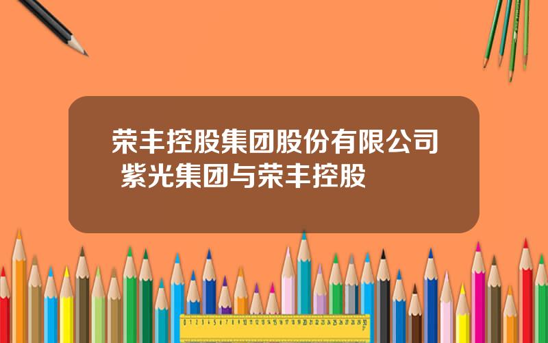 荣丰控股集团股份有限公司 紫光集团与荣丰控股